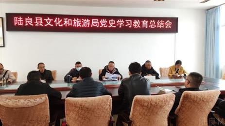 陆良县文化和旅游局召开党史学习教育总结会