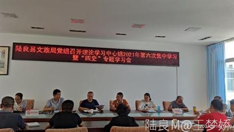 县文旅局党组开展理论学习中心组2021年第六次集中学习暨“四史”专题学习会