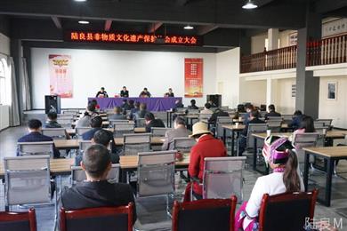 陆良县非物质文化遗产保护协会成立