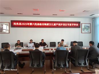 陆良县第六批县级非遗项目及第七批非遗代表性传承人评审会召开