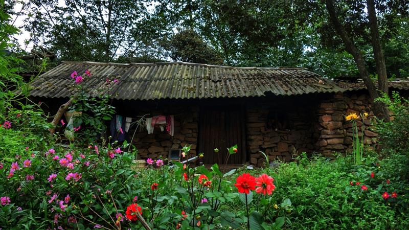 芳华横山风光